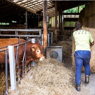 Item 1